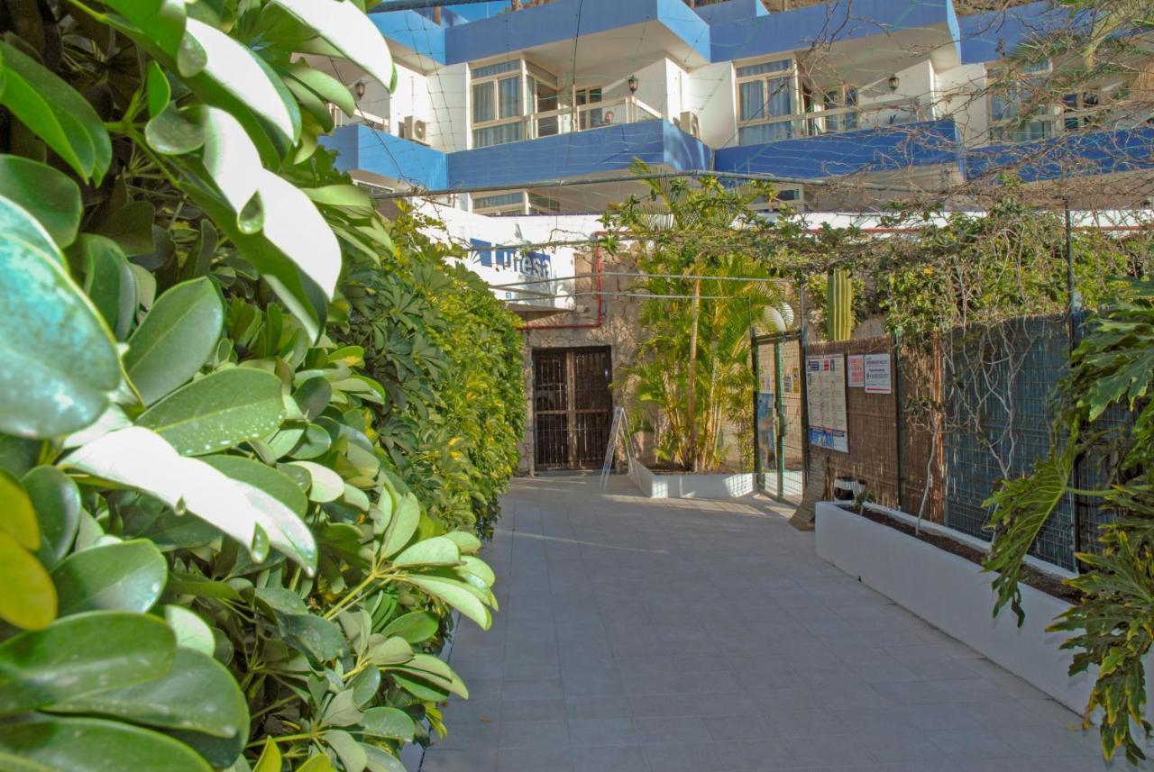 Lufesa Apartment Пуерто Рико Екстериор снимка